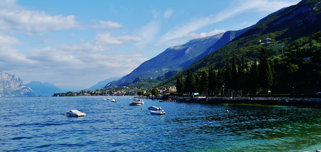 Veterinario a domicilio sul lago di Garda per turisti e vacanza